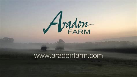 304 aradon dr, odenville, al 35120 is a 4,812 sqft, 5 bed, 4.5 bath home. Aradon Farm Promo - YouTube