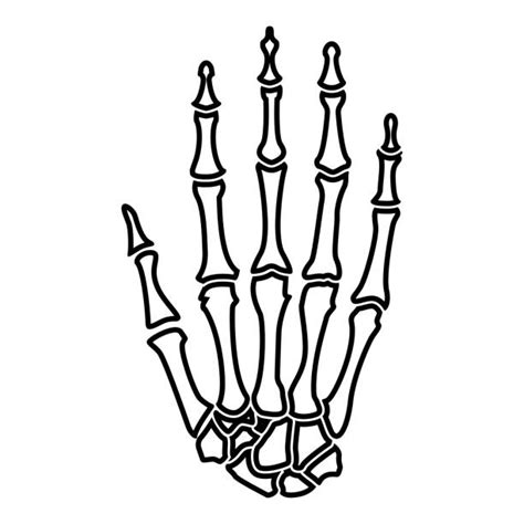 Hand Bone Illustrations Royalty Free Vector Graphics And Clip Art Istock