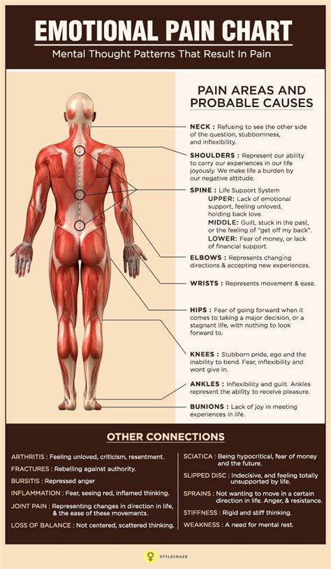 Understanding Low Back Pain Anatomical Chart Charts Posters My XXX