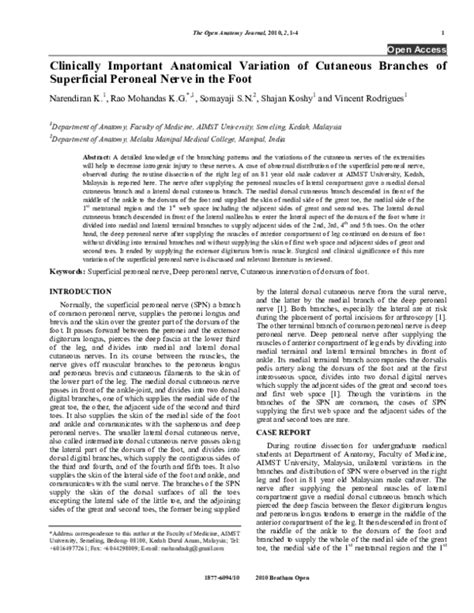 Pdf Clinically Important Anatomical Variation Of Cutaneous Branches