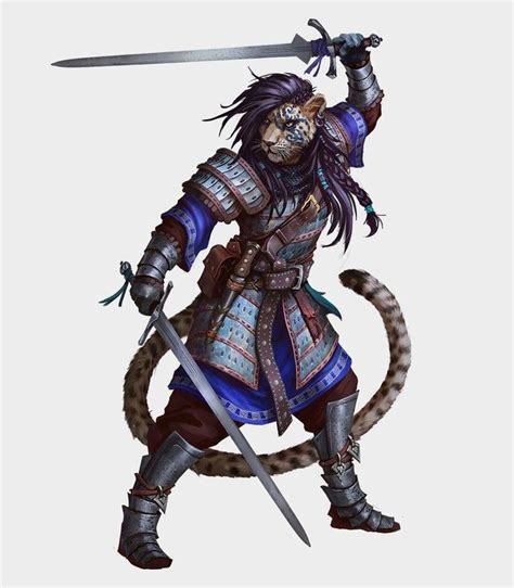 F Tabaxi Fighter Eldritch Knight Hvy Armor Dual Sword Dungeons And