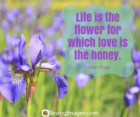 Flowers And Love Quotes And Sayings Quotes For Mee