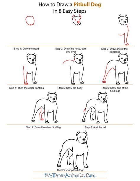 How To Draw A Pitbull Face Step By Step