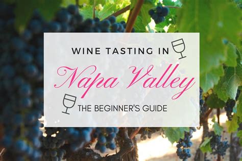 Best Napa Valley Wineries Review Of Wine Tasting In Napa Valley
