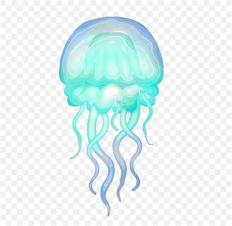 Rhizostomae Hydrozoa Aquatic Animal Box Jellyfish Png 576x800px