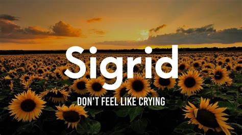 verse 2 i feel like howling at the moon at night and in the morning, i just want to hide don't you miss me like i miss you? Sigrid - Don't Feel Like Crying (Lyrics) - YouTube