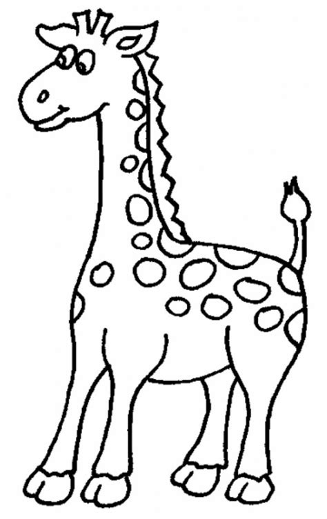 Coloriage Girafe à Imprimer Coloriage Animaux