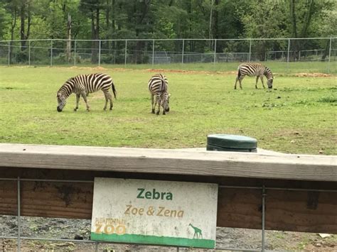 Plumpton Park Zoo Is An Underrated Gem In Maryland