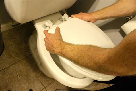 Procedure to follow to tighten the seat. How to Replace a Toilet Seat
