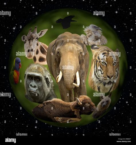 Earth Animals Hi Res Stock Photography And Images Alamy