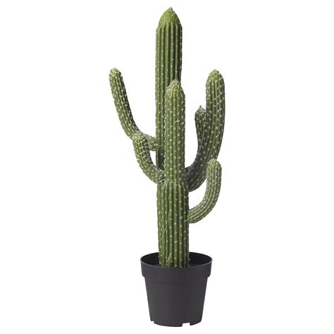 Fejka Artificial Potted Plant Inoutdoor Cactus 19 Cm Ikea