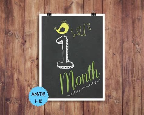 Printable Baby Month Signs 1-12 babys first year Photo Prop | Etsy
