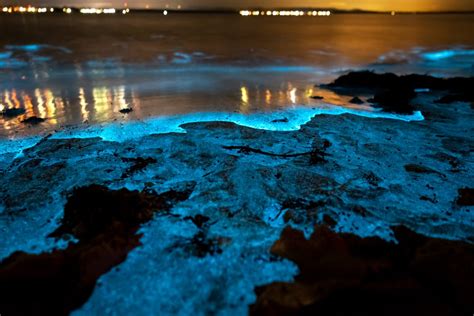 What Is Bioluminescence 18 Ocean Beaches With Glowing Water And Waves