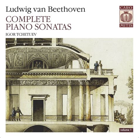 Beethoven Complete Piano Sonatas Vol 1 Nativedsd Music