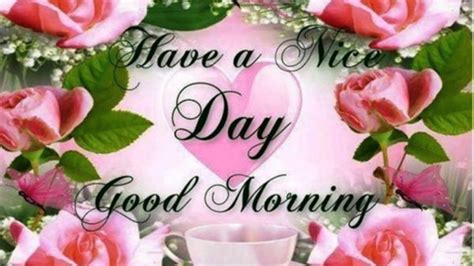30 Beautiful Good Morning Have A Nice Day Wallpapers
