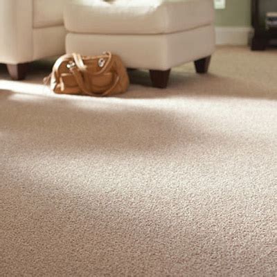 Synthetic carpets are manufactured to withstand the wear and tear that occurs in high traffic areas of the house. Best Carpet Padding for Your Home - The Home Depot