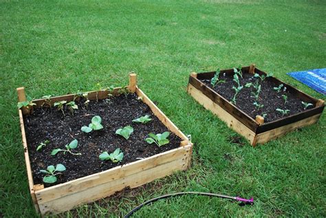 A concrete block raised bed is cheap and easy to build, and a great way to quickly add diy raised garden beds to your yard. HighTail Farms: Building Raised Garden Beds on the cheap