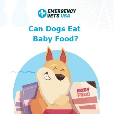 Check spelling or type a new query. Can Dogs Eat Baby Food And Is Baby Food Good For Them To Eat?