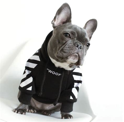 725 items found from ebay international sellers. "WOOF" Dog Hoodie - Black | French bulldog clothes, French ...