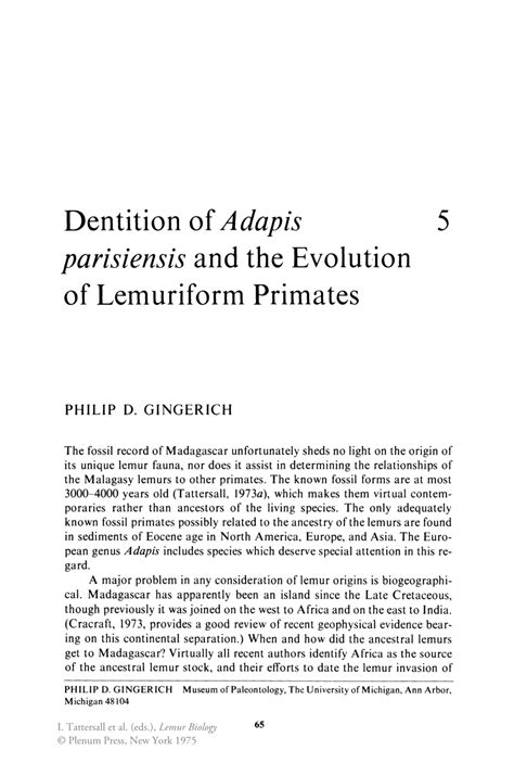 Pdf Dentition Of Adapis Parisiensis And The Evolution Of Lemuriform