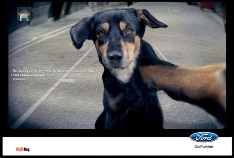 30 Emotional Print Ads That Appeal To Your Soft Side Content Fuel