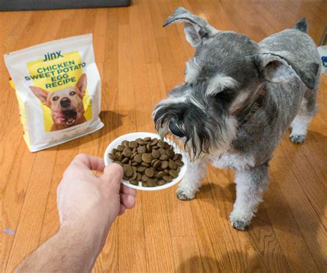 Maybe you would like to learn more about one of these? Jinx Dog Food Subscription Review + Coupon - hello ...