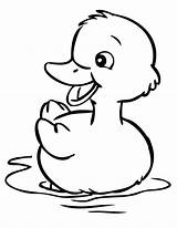Duck Coloring Cute Netart sketch template