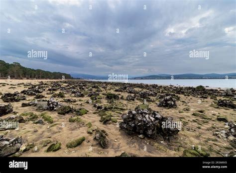 Coastal Bliss: Exploring the Enchanting Charm of Ason River Estuary in