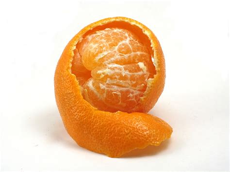How To Differentiate Between Orange Citrus Fruits Next Time Youre At