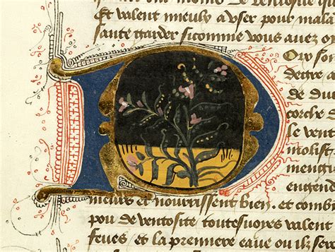 The regulator has multi function such as over current protection, overheat protection and on/off control. Régime du corps, MS M.0165 fol. 78v - Images from Medieval ...