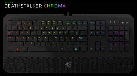 How to choose the right mechanical keyboard switch for you. Razer DeathStalker Chroma Gaming Keyboard - Laptops Direct