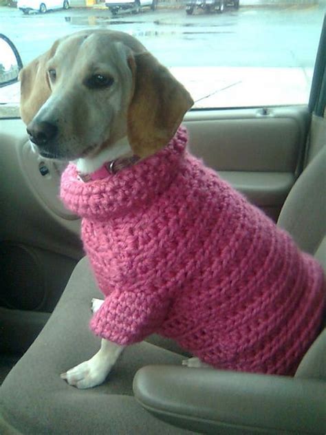 Ravelry Lion Brands Flower Dog Sweater In Pink Dog Sweater Crochet