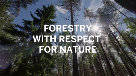 Forestry With Respect For Nature Youtube