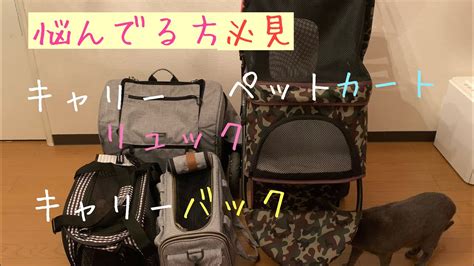 Последние твиты от ケイン・ヤリスギ「♂」 (@kein_yarisugi). 猫用グッズ大量紹介!悩んでる方必見!キャリーバック ...