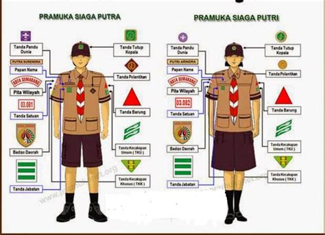 ¡cuidado 19 Raras Razones Para El Lambang Pramuka Indonesia Adalah