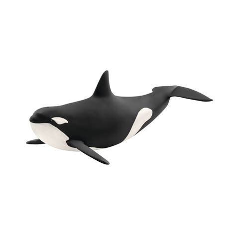 Schleich Killer Whale Toys At Foys