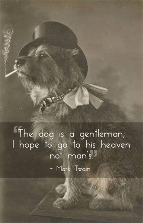 Quotes On Loving Your Pet. QuotesGram