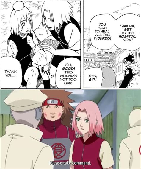 Why Do People Constantly Say Sakura Was Useless During The Pain Arc