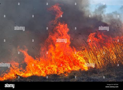 Big Flames On Field During Fire Accidental Disaster Stock Photo Alamy