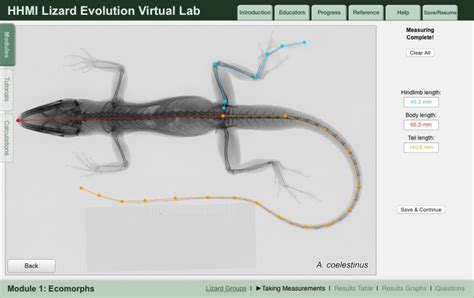 Lizard Evolution Virtual Lab Astronaut 3 Media Group
