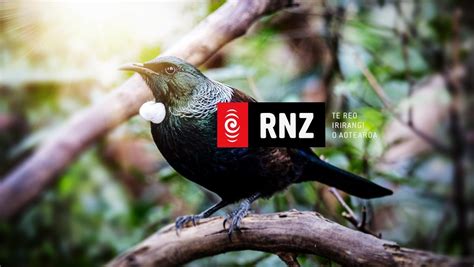 Radio New Zealand Linkedin