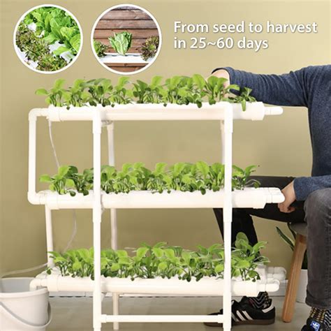 Home Hydroponic Kit Buy Online And Save Free Shipping