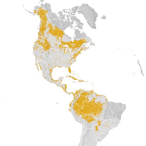 Osprey Range Map Post Breeding Migration Ebird Status And Trends