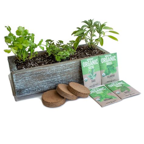 Culinary Herb Garden Kit With Reclaimed Barnwood Style Planter Aged