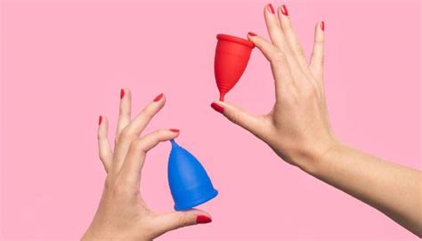 How To Use Menstrual Cup A Beginner’s Guide Lifeandtrendz