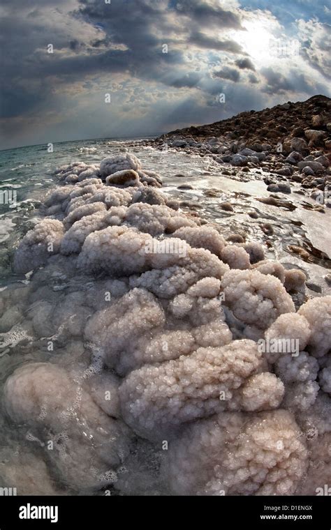 Salt Crystal Formations In The Dead Sea Israel Stock Photo Alamy