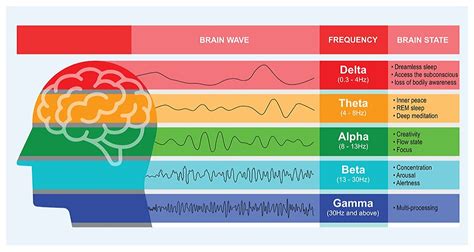What Research Says About Brain Wave Frequencies Zen Virtuoso