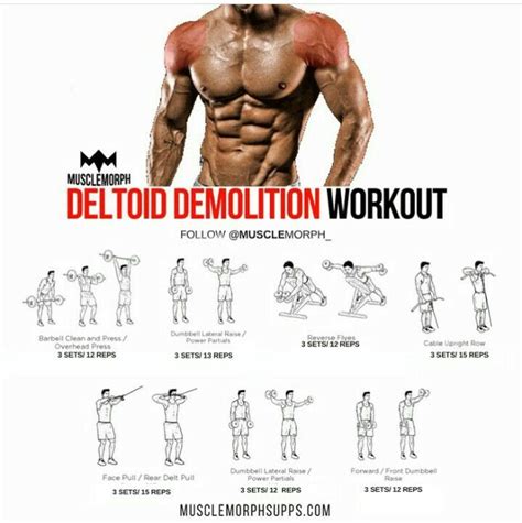 Pin By Norman Ontiveros On Trygym Deltoid Workout Shoulder Workout
