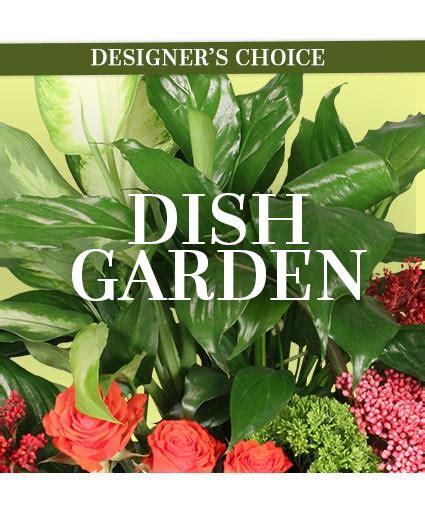 Maybe you would like to learn more about one of these? Lovely Dish Garden Designer's Choice in Wexford, PA - The ...