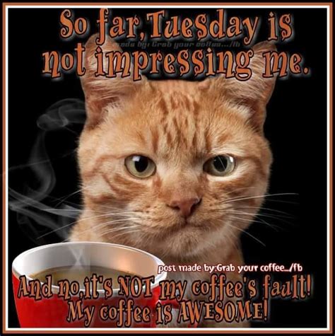 Pin By Marye Waite On Hilarious With Cutsies Funny Coffee Quotes Good Morning Coffee Coffee